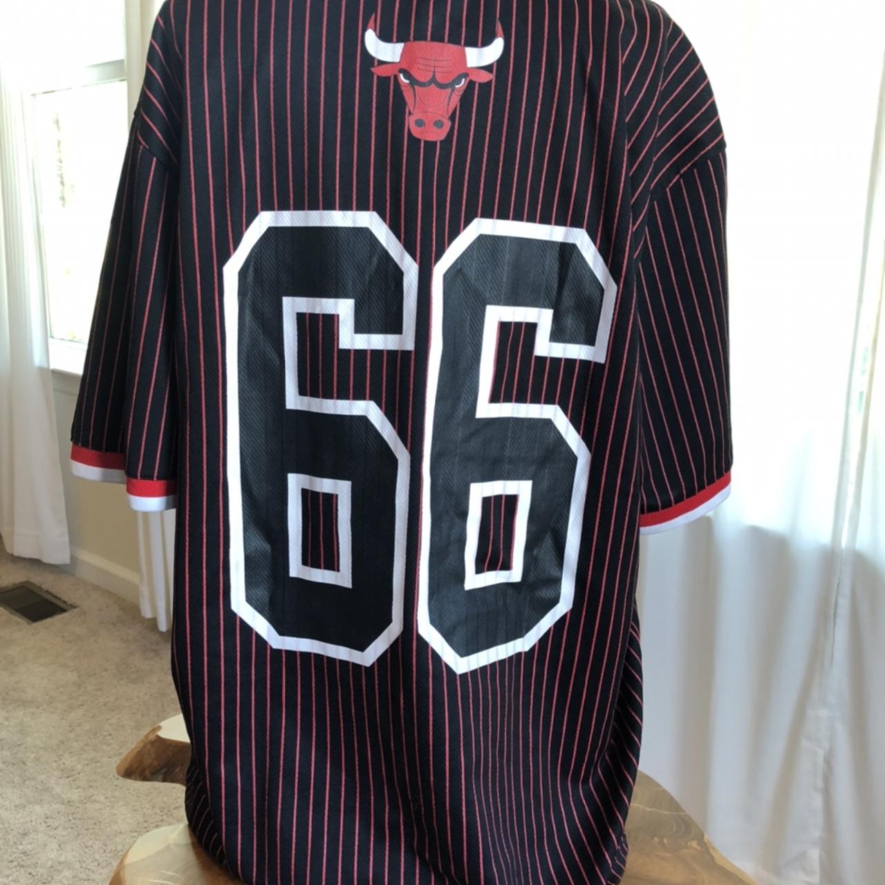 NBA, Shirts, Chicago Bulls Baseball Jersey Style Number 66