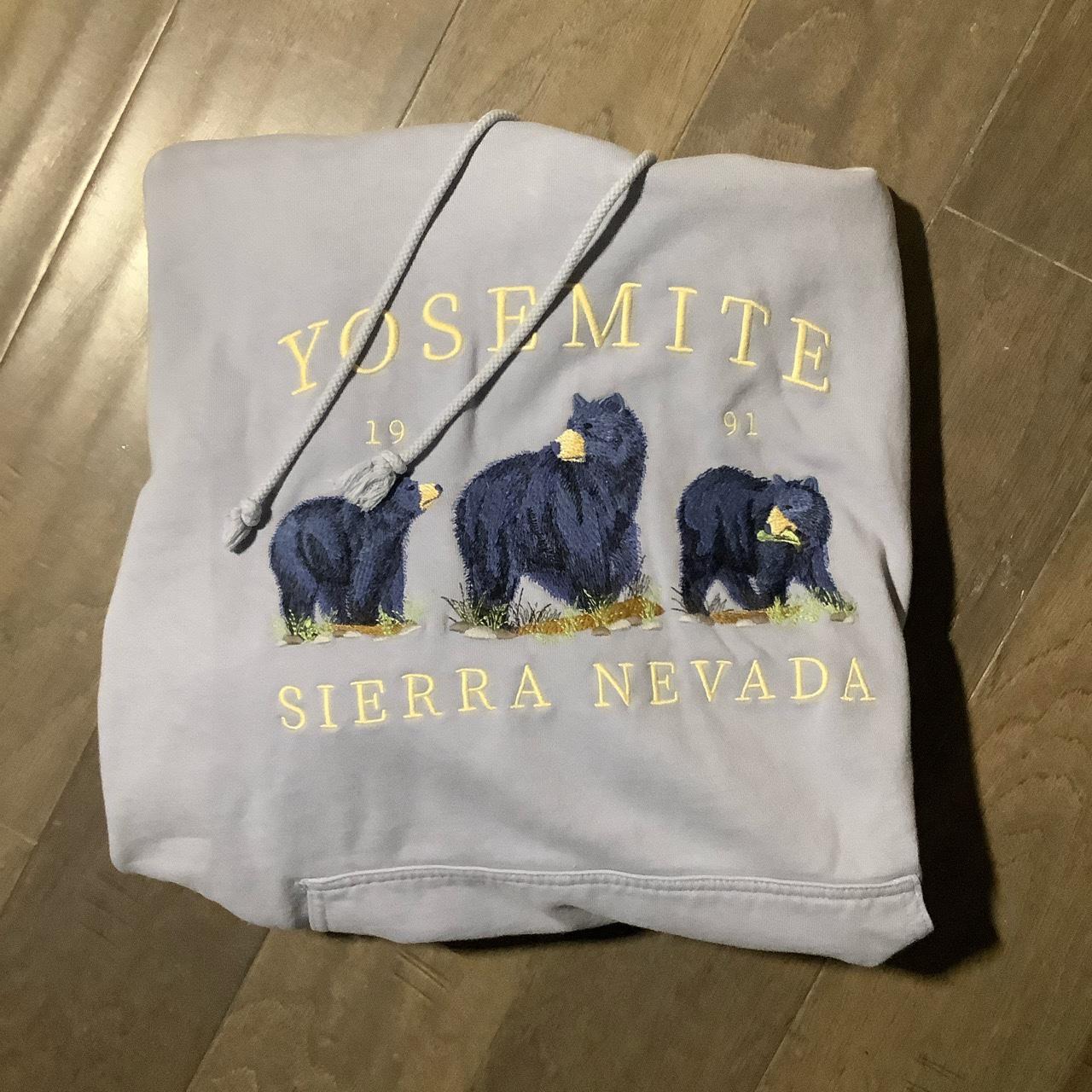 Brandy Melville Yosemite hoodie💙🧸 oversized brand... Depop