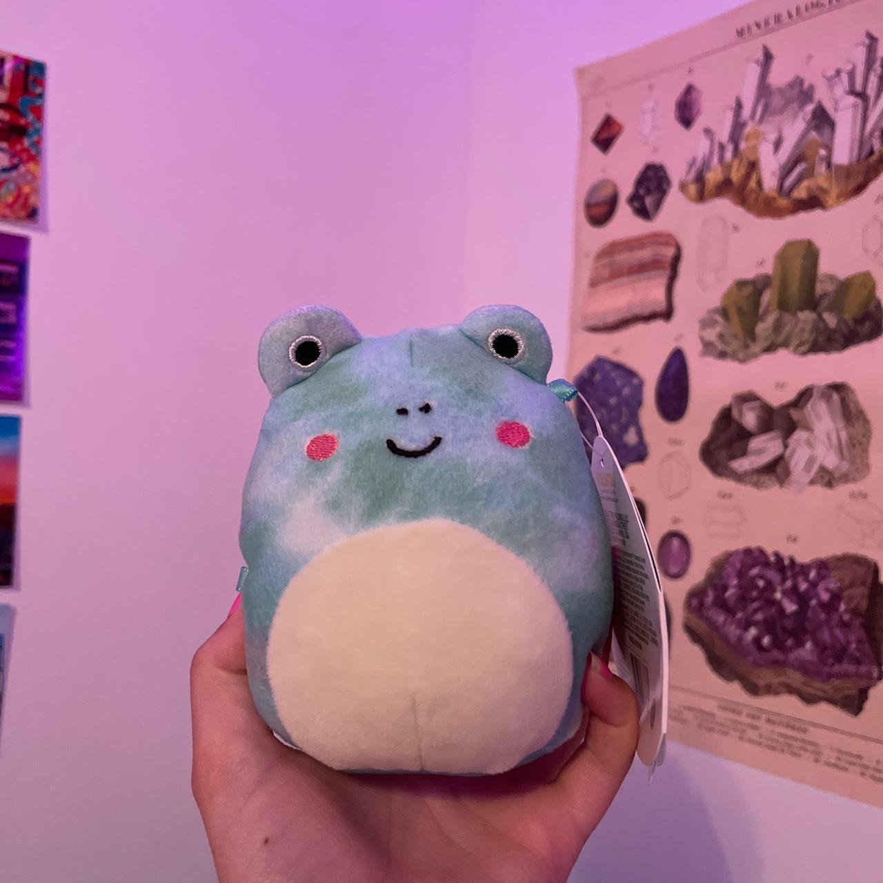 Super cute frog squishmallow willing to negotiate - Depop