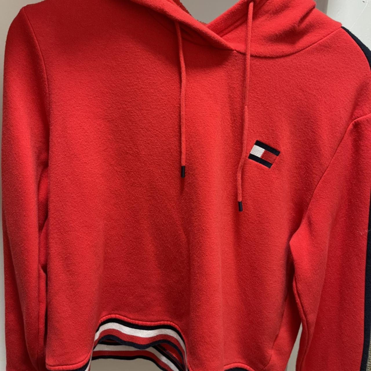 Hilfiger on sale hoodie sale