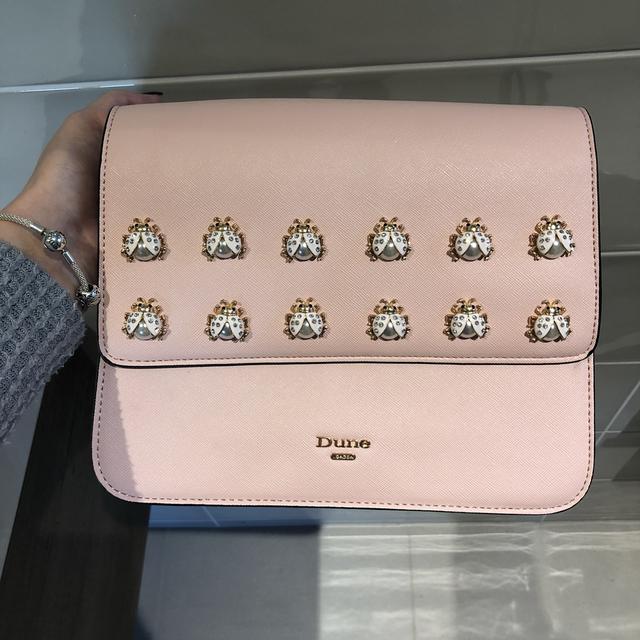 Amazing baby pink dune bag with mini lady bug Depop