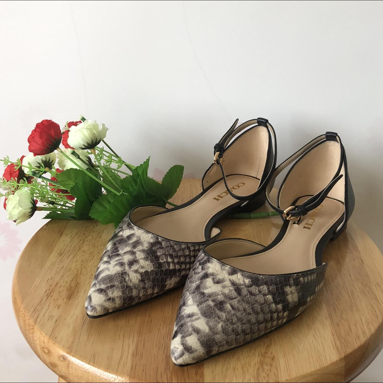 Coach leather best sale pointed toe flat