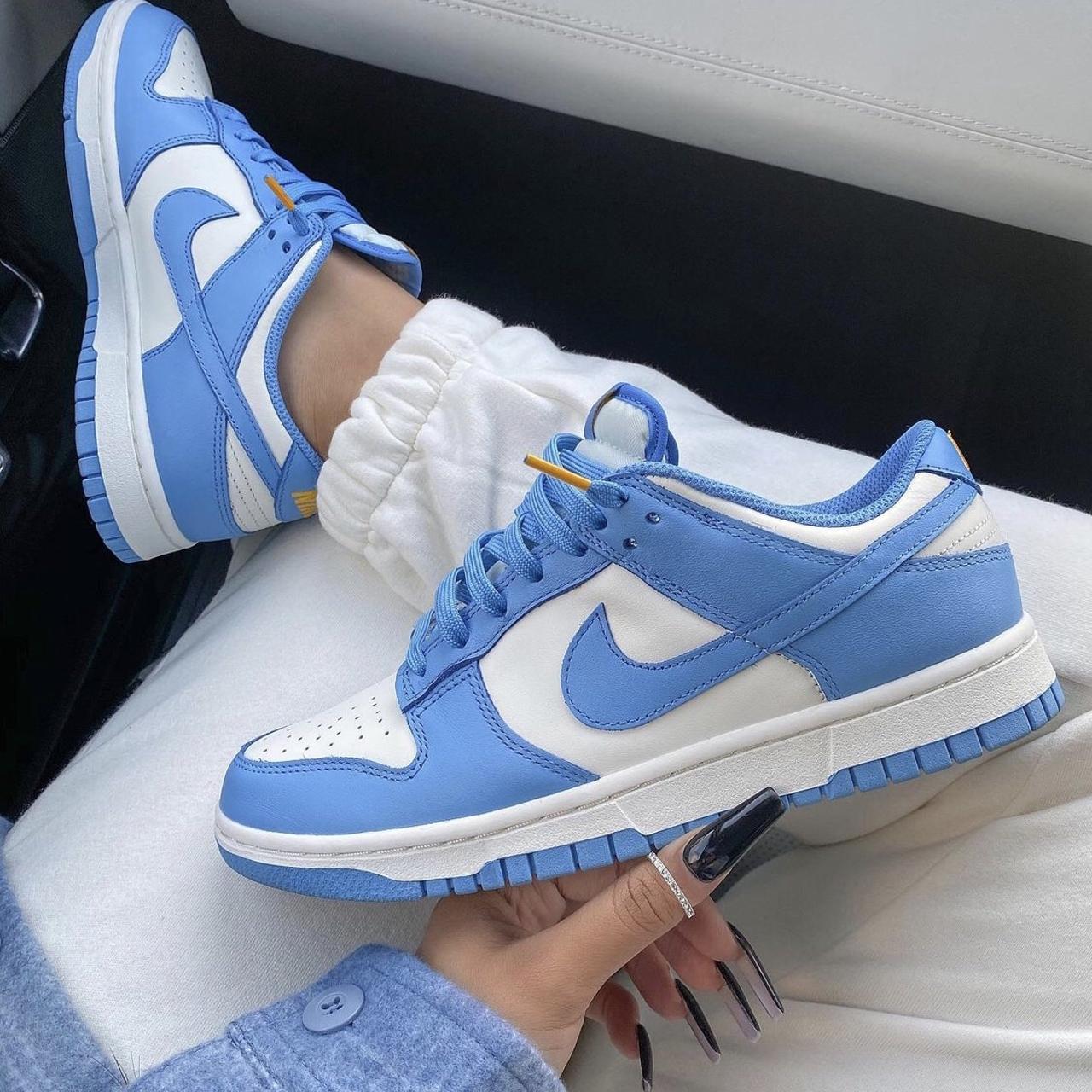 Nike dunk fashion low coast