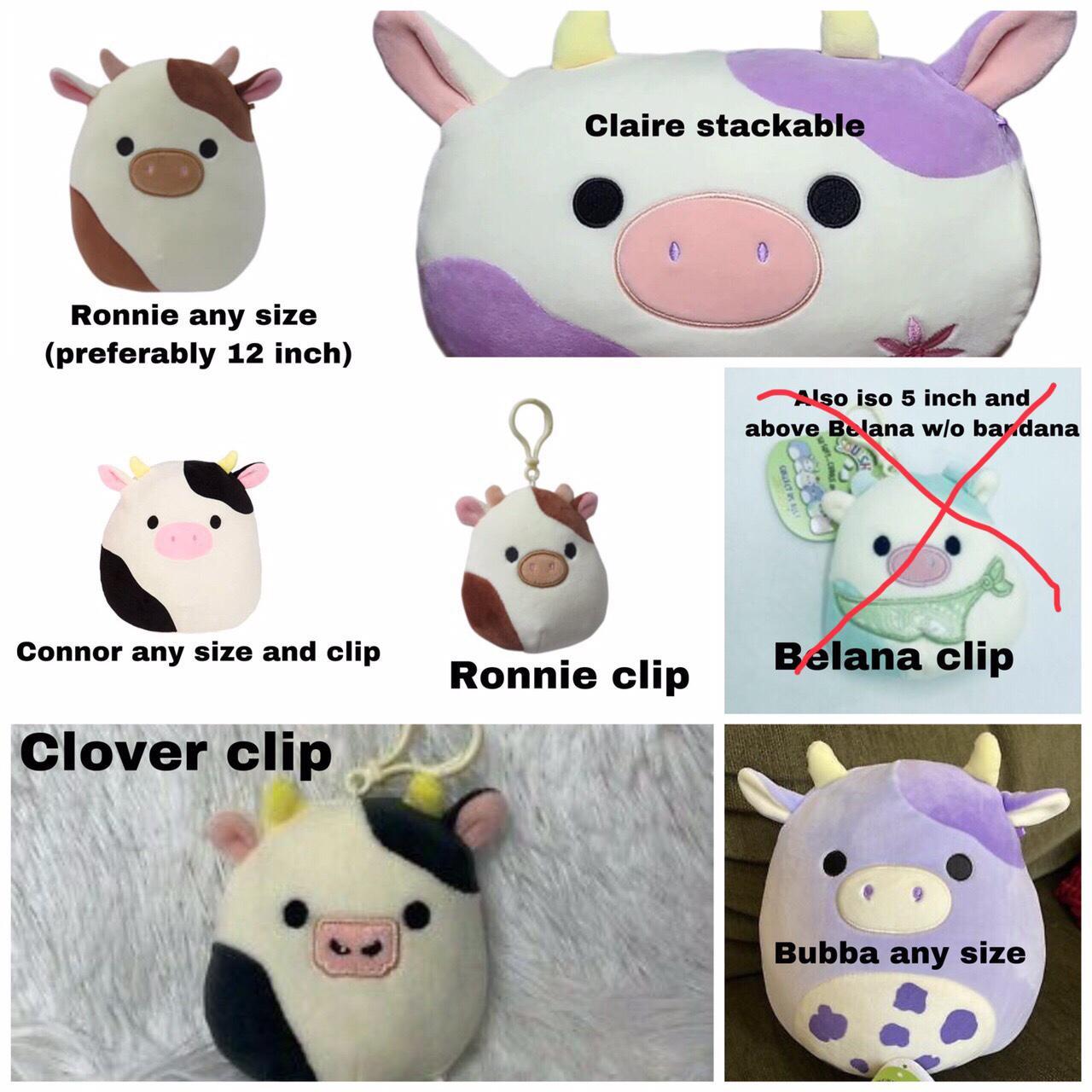 sage cow squishmallow