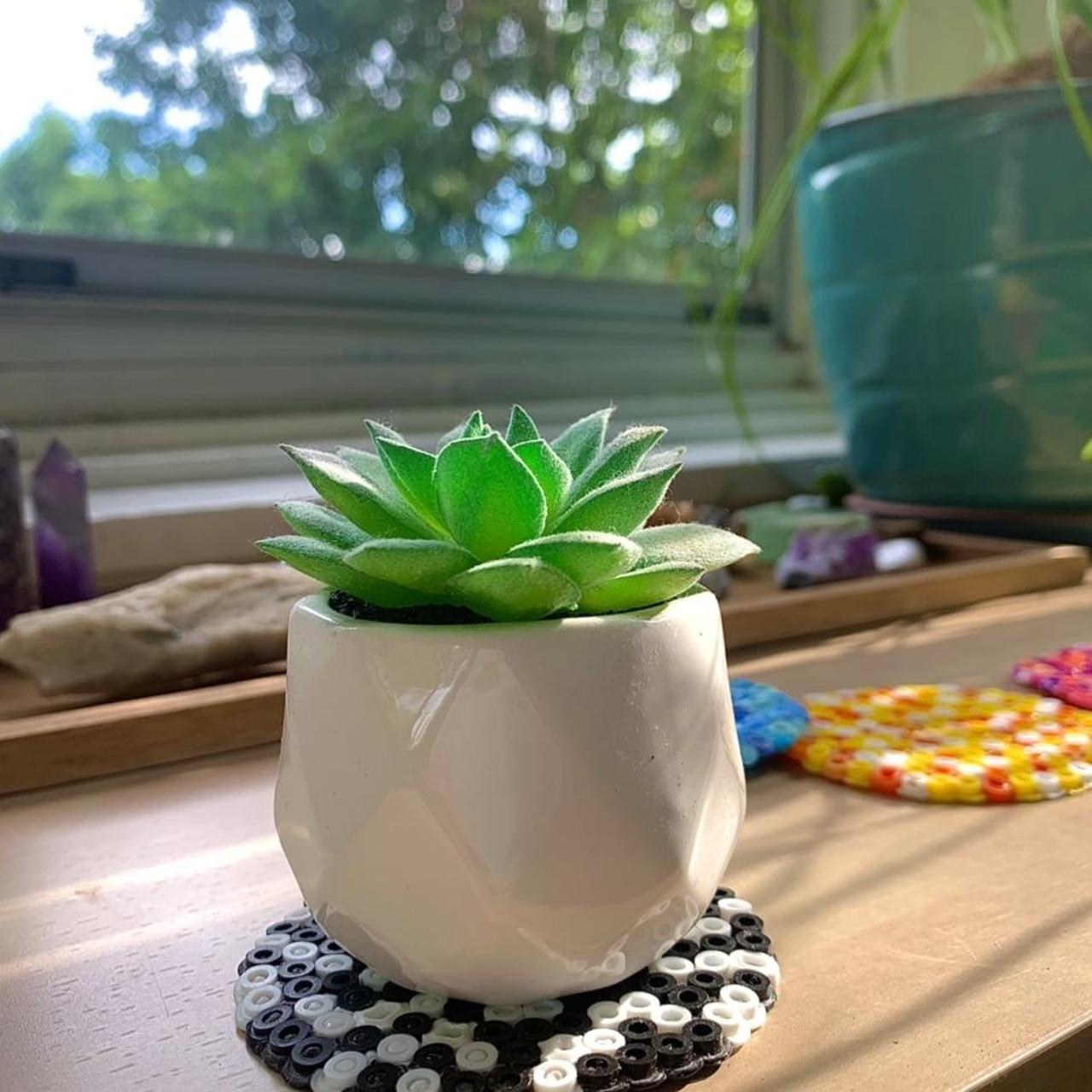 5 adorable homemade plant coasters! With fake plant... Depop