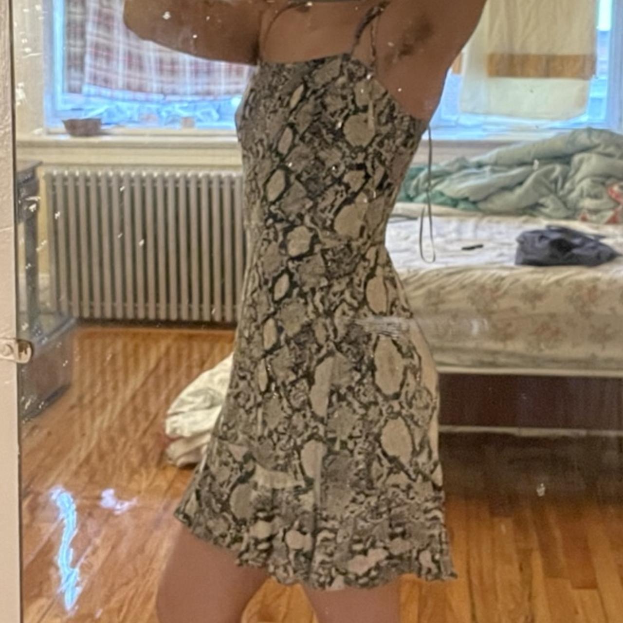 Express snake print clearance dress