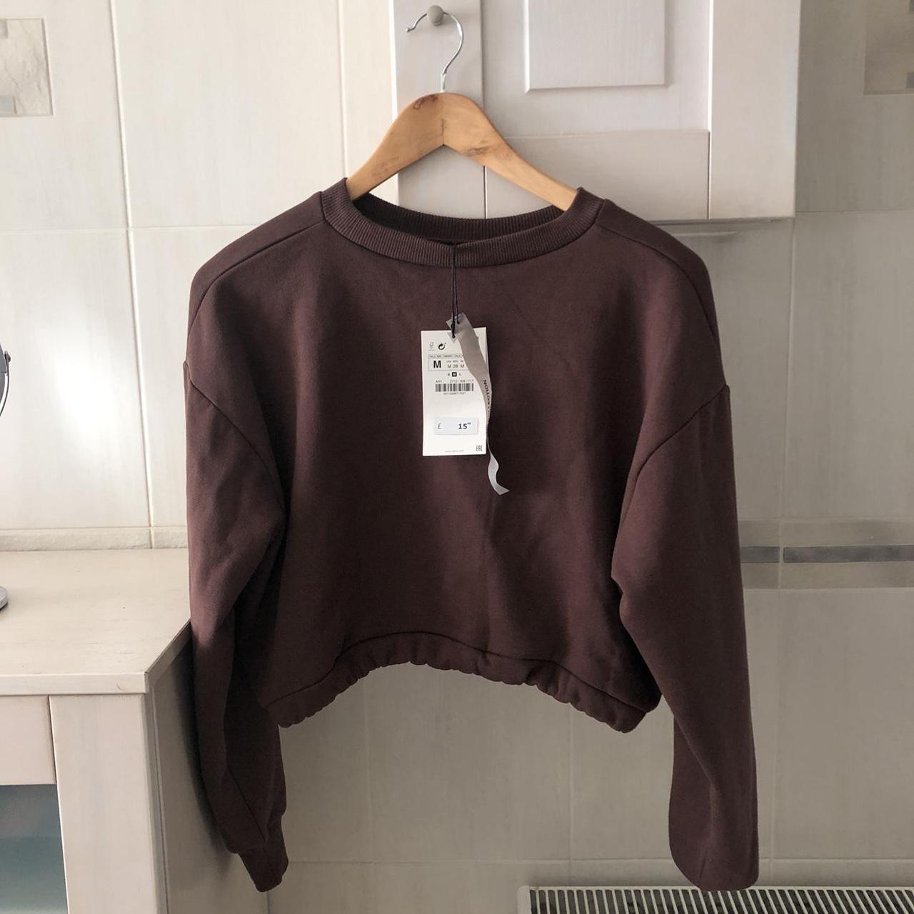 zara brown cropped sweatshirt