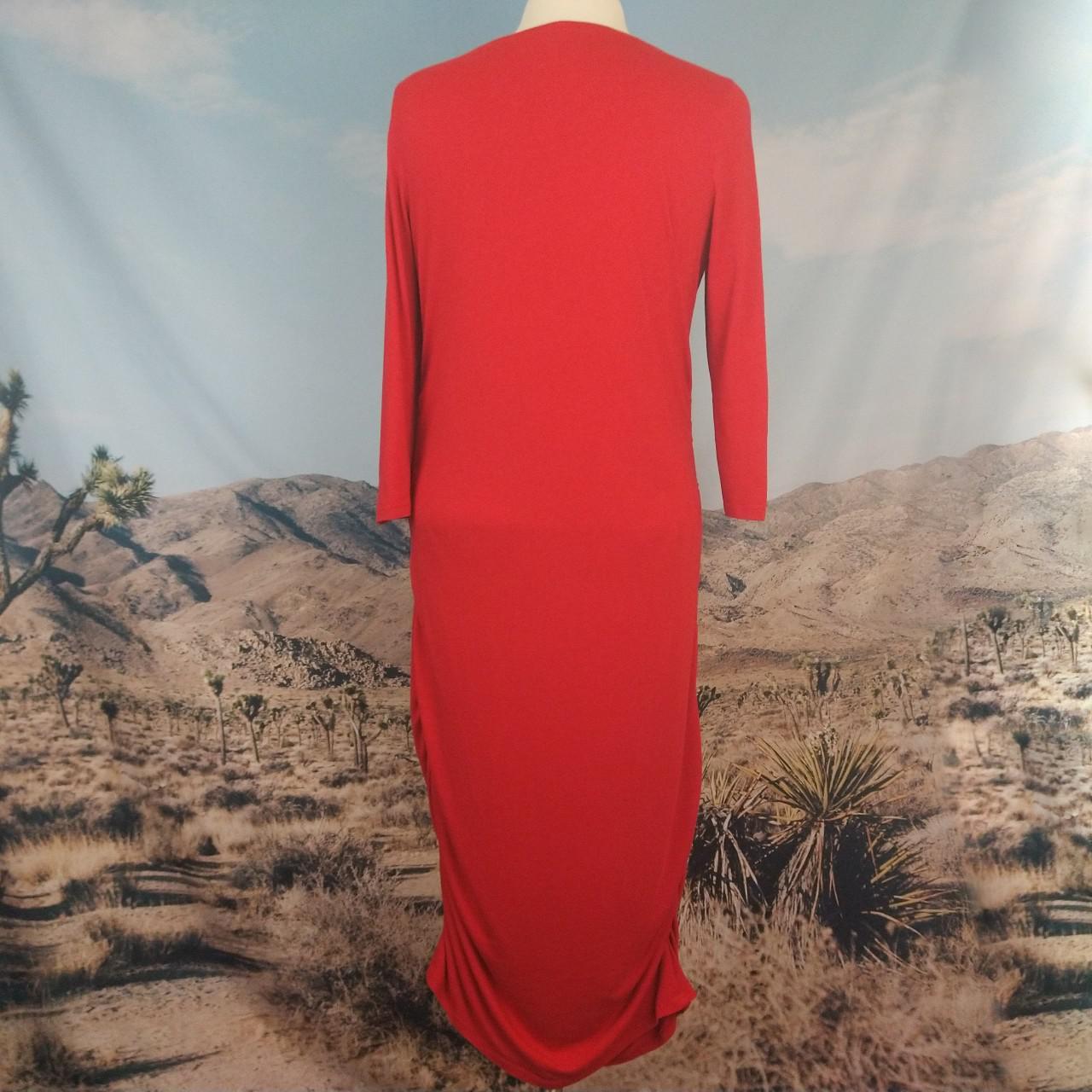 Express Women's Red Dress (3)