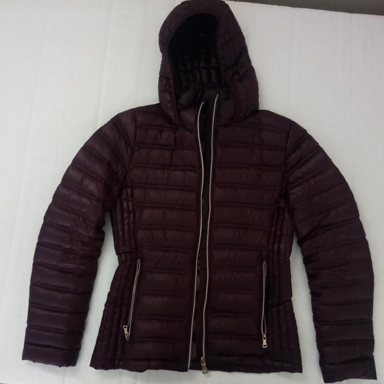 calvin klein maroon jacket