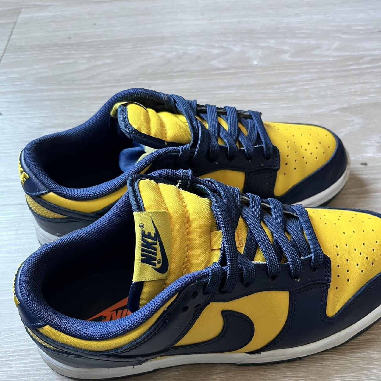 michigan dunks womens