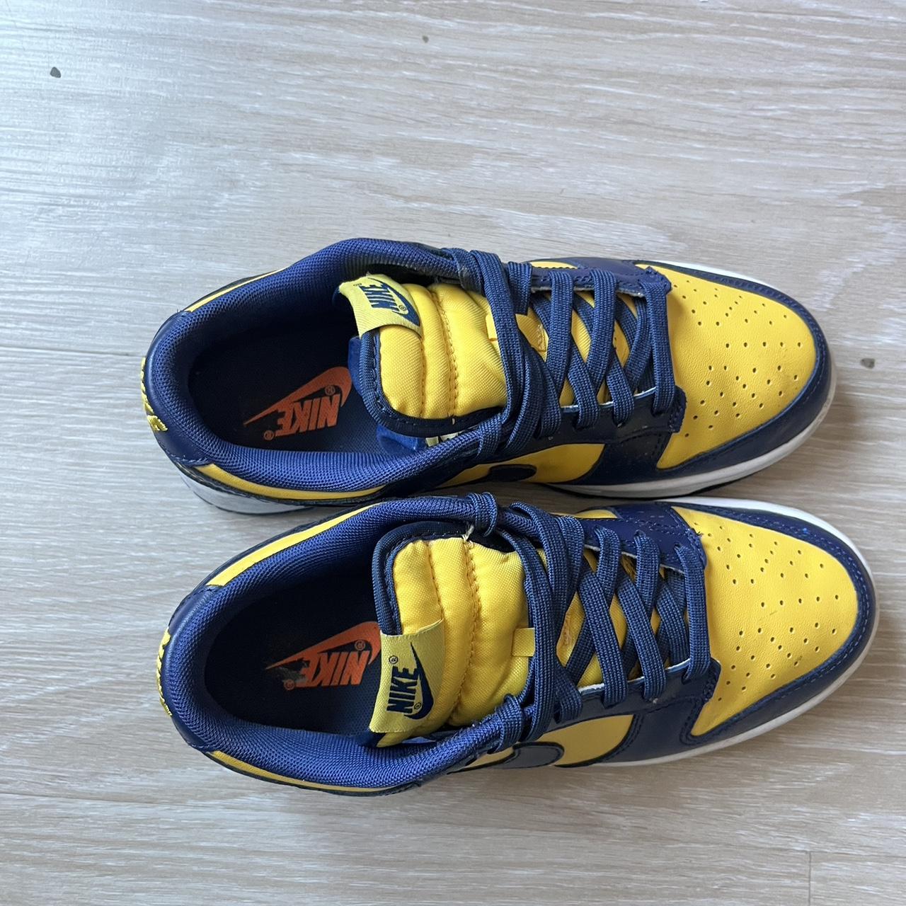 michigan dunks womens