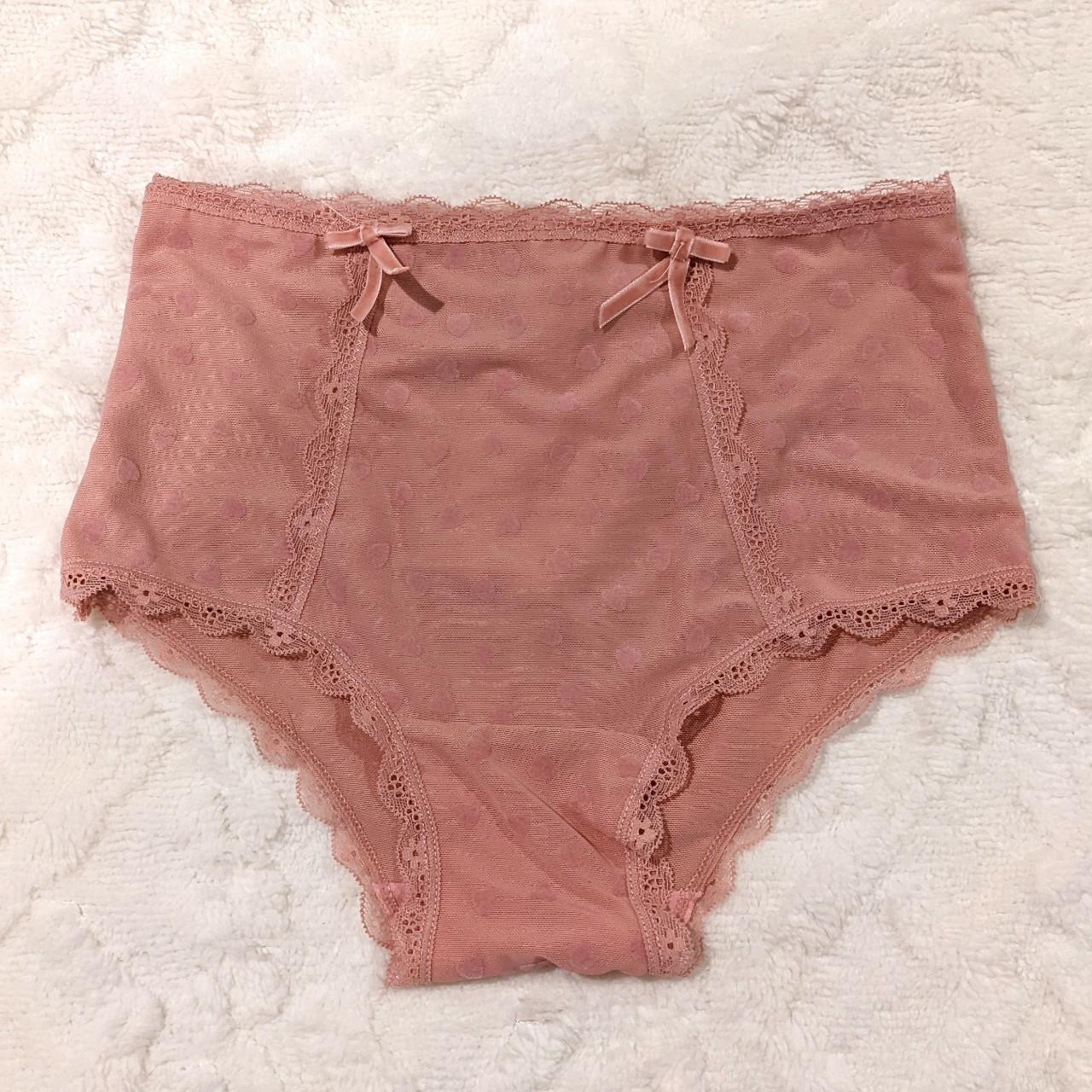 Nwot Pink Mesh Panties With The Daintiest Lace Trim Depop 9312