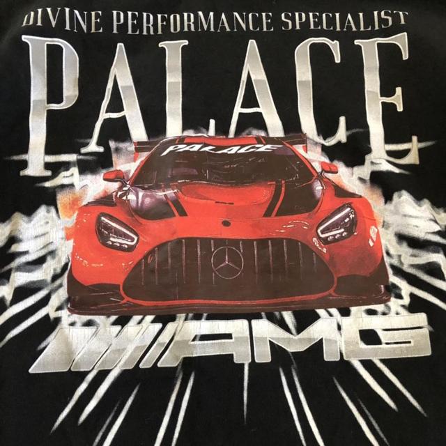 FREE SHIPPING Used palace amg long sleeve Size:... - Depop