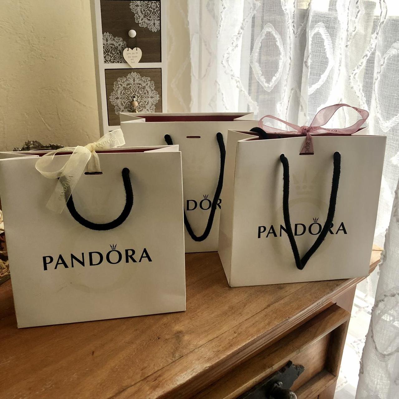 Pandora hot sale gift bag