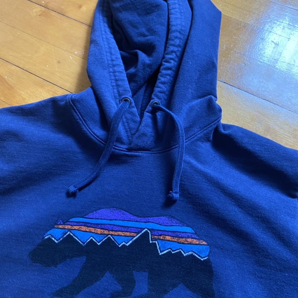 Patagonia sales bear hoodie