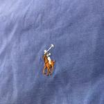 thompsongl's profile picture
