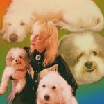 theelectrikmayhem's profile picture
