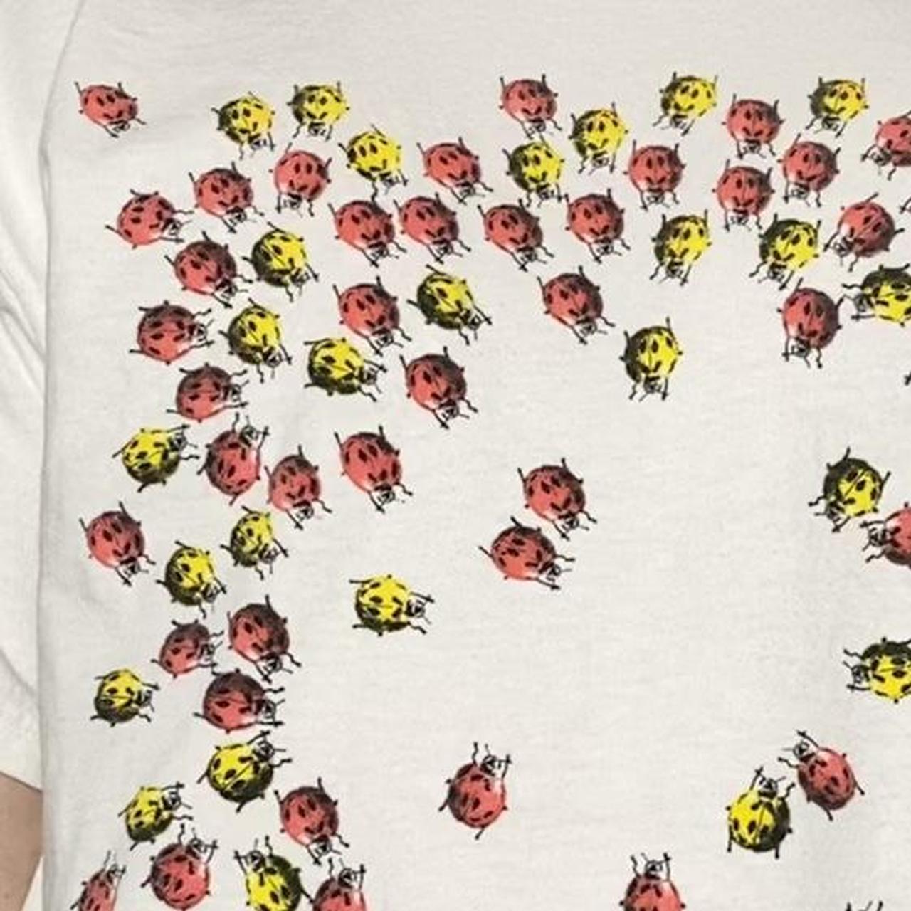Product Image 4 - vintage nature bug t-shirt
ladybugs