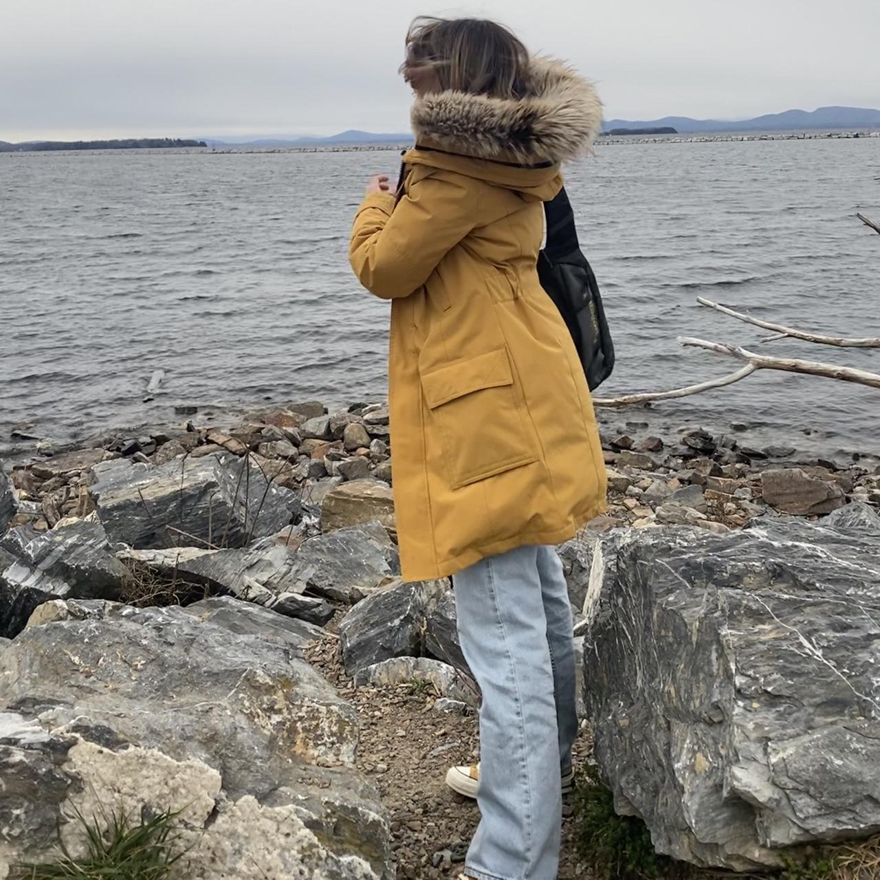 Aritzia TNA Climate Lab Puffer (Removable fur... Depop