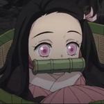 simplypolidocs's profile picture