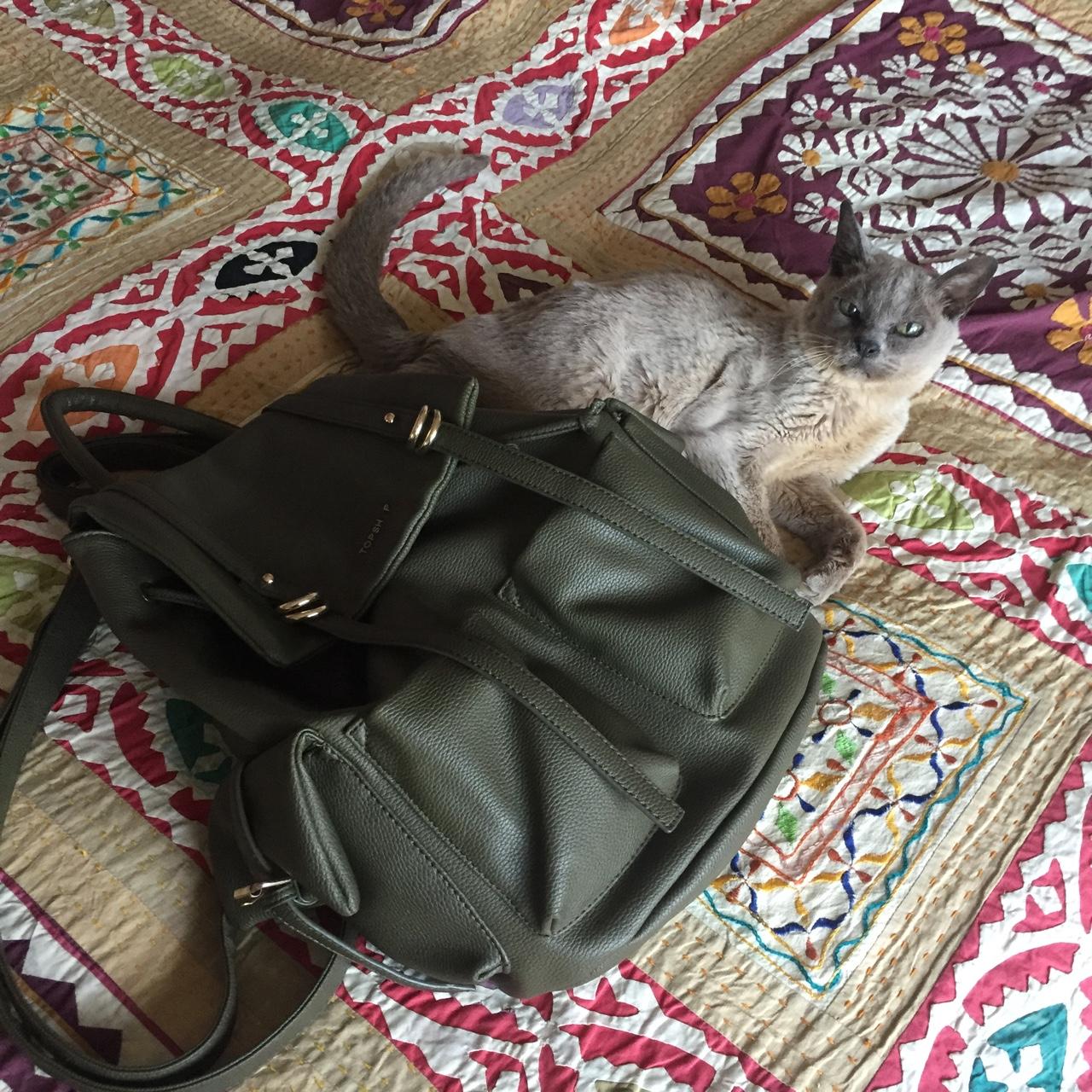 Topshop best sale cat bag