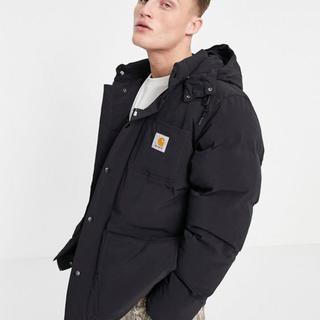 carhartt alpine jacket