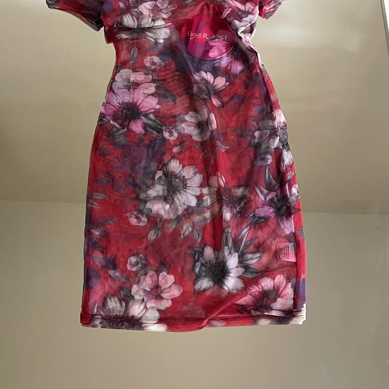 🌺 Tigermist floral mesh dress 🌺 This is such a hot... - Depop
