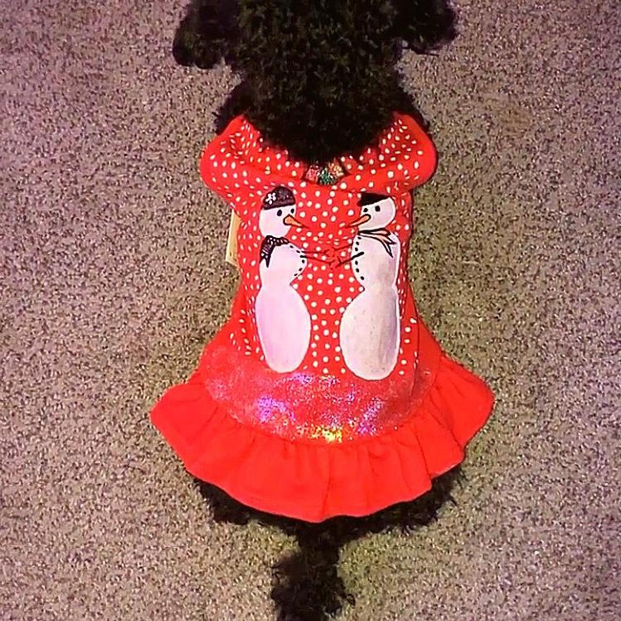 A LIL SUMN FOR YOUR PUP!!! ️ ️ ️ •Hand painted by... - Depop