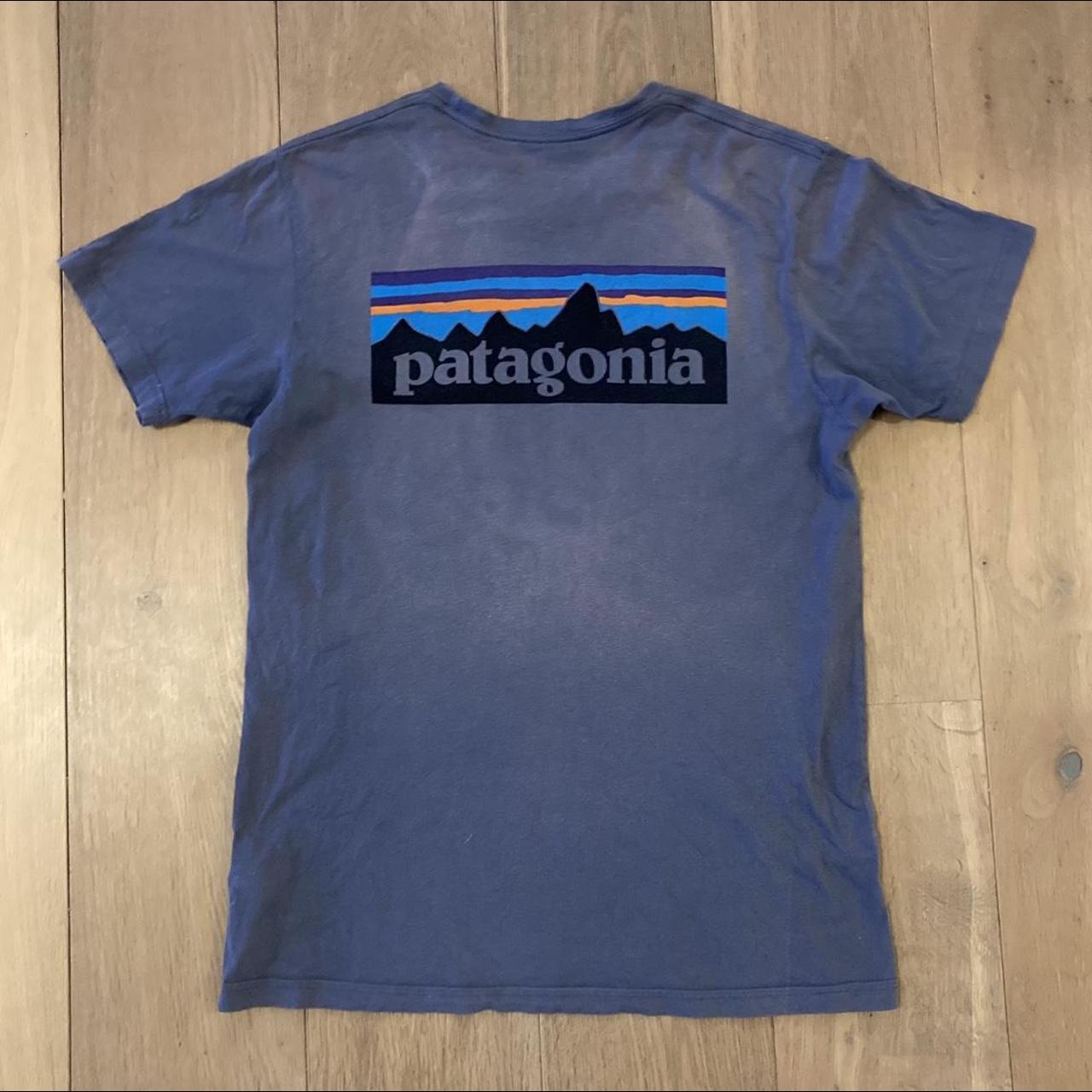 Blue Patagonia t shirt Size medium Lovely graphic... - Depop