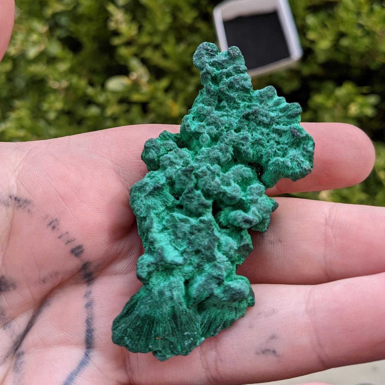 Super chatoyant velvet malachite specimen. fibrous... - Depop