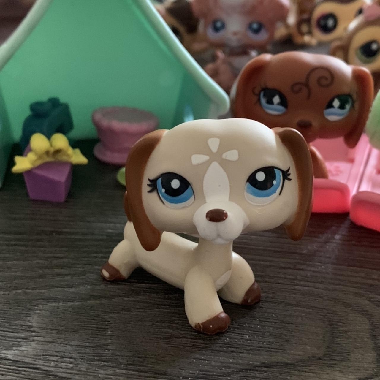 Rare Dachshund Lps, littlest pet shop lot - 3... - Depop