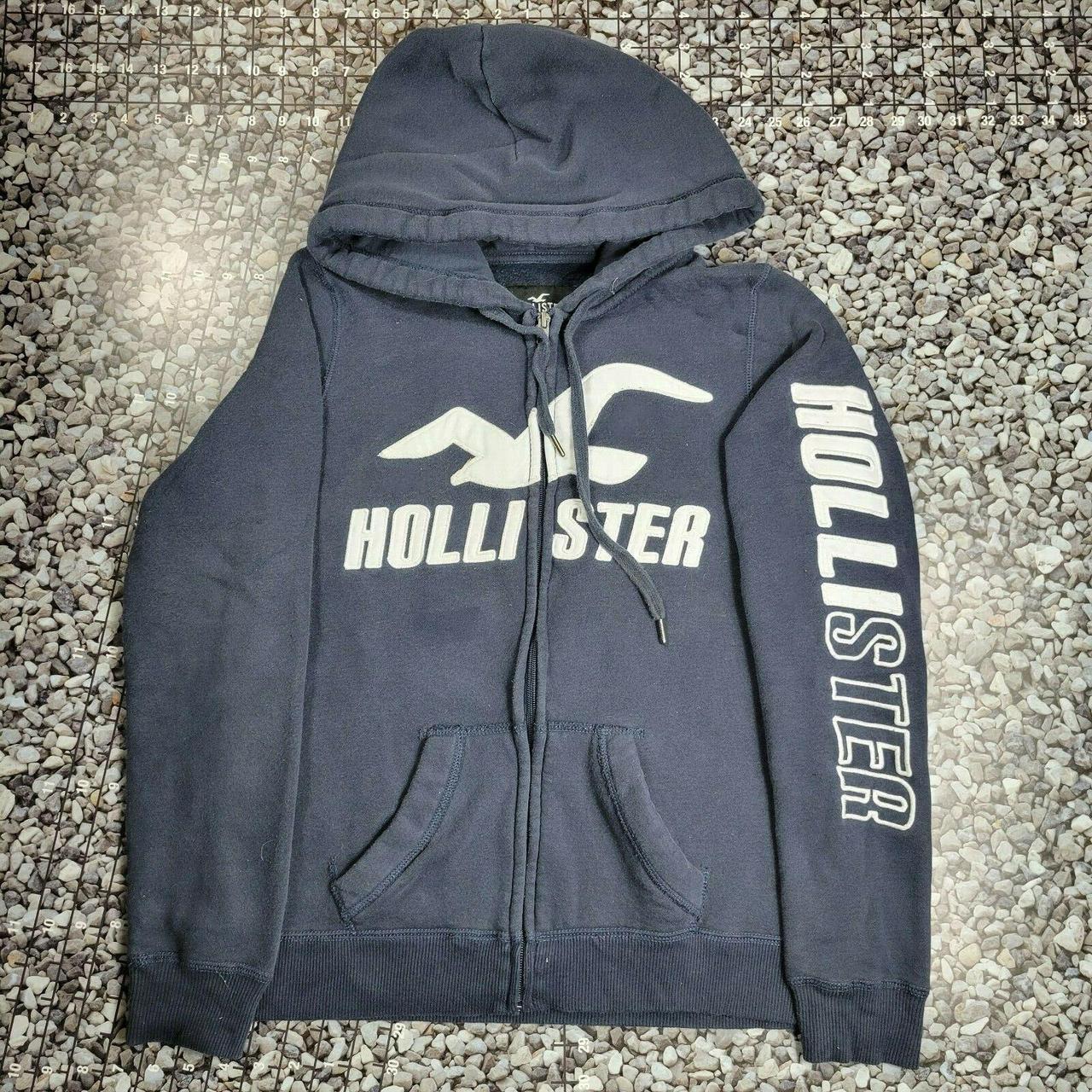 hollister adults