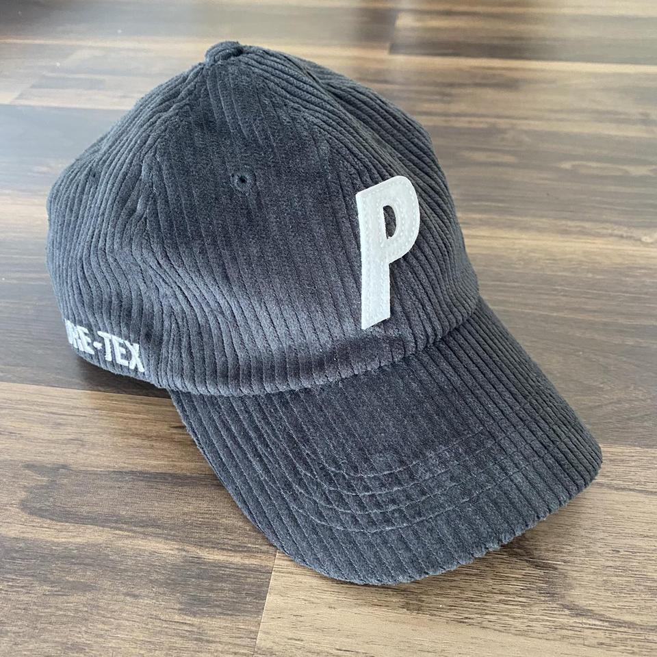 palace gore tex cap