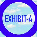 the_exhibit's profile picture
