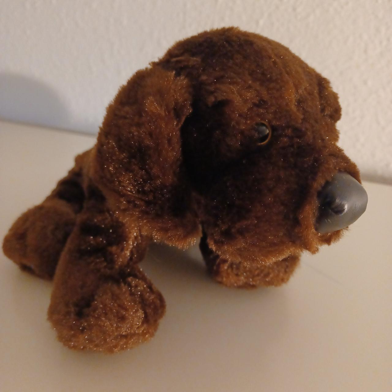 Webkinz Retired Chocolate Lab Plush From 2007. Ganz - Depop