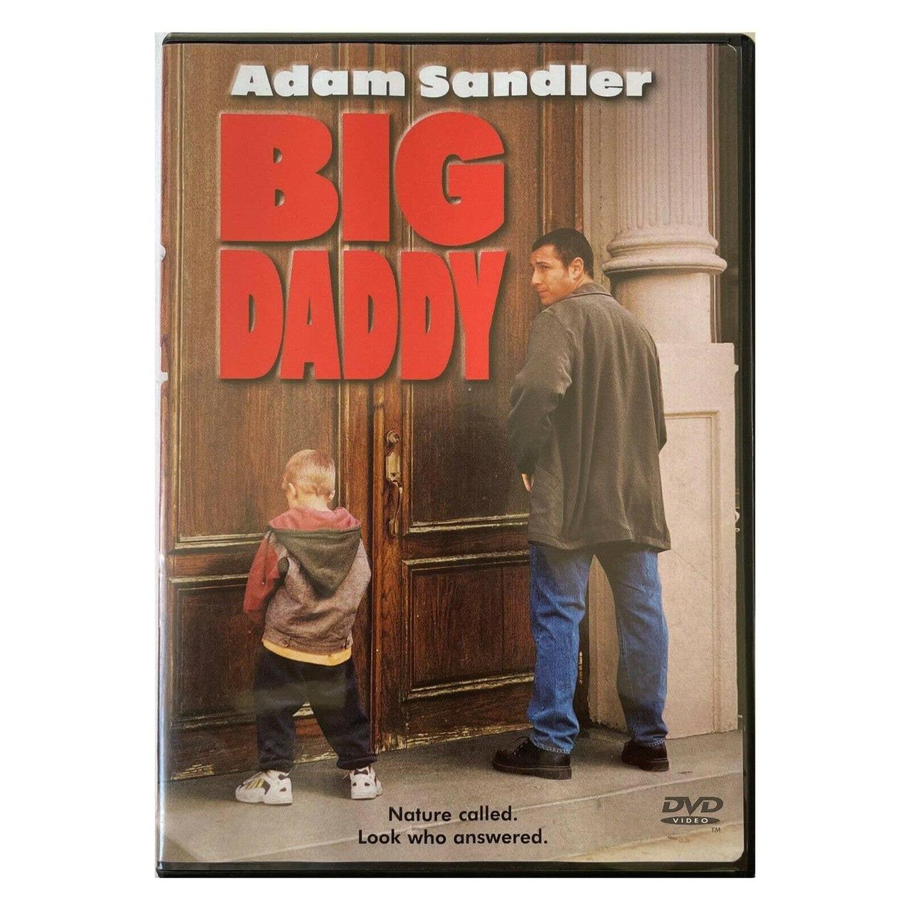 Product Image 1 - Big Daddy (DVD, 1999). Ships