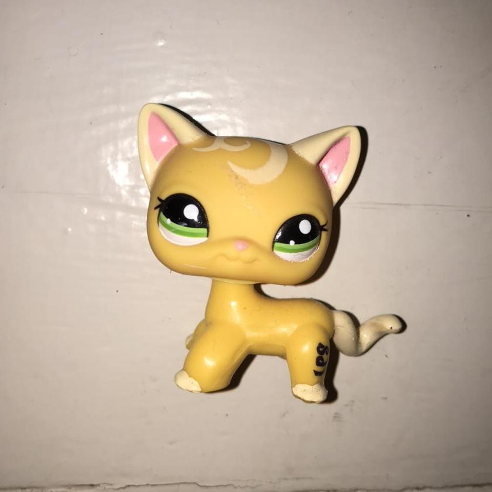 yellow lps cat