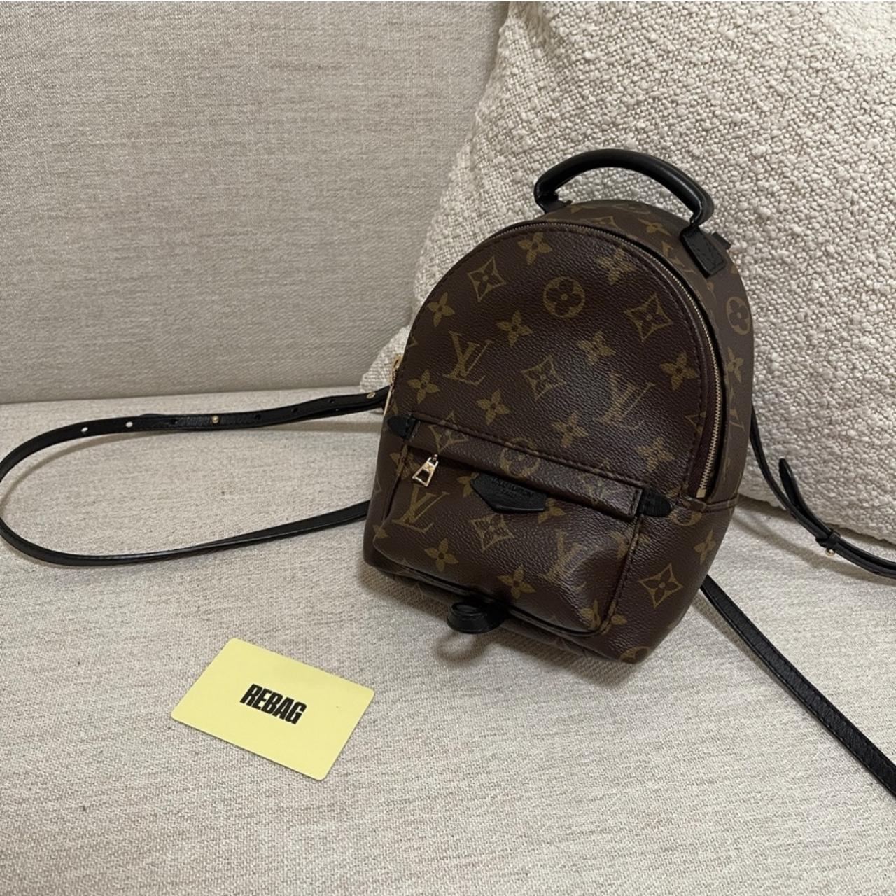 Louis Vuitton Palm Springs mini bag Signs of wear - Depop