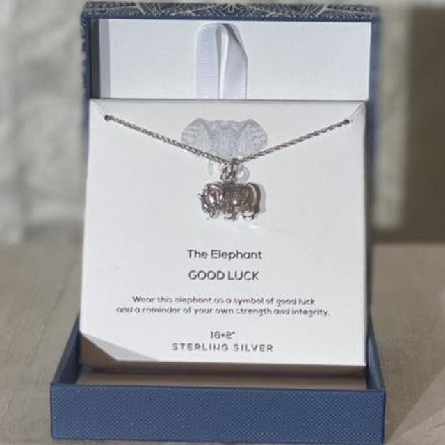 Annika Witt | Jewelry | Sterling Silver Dragonfly Necklace | Poshmark