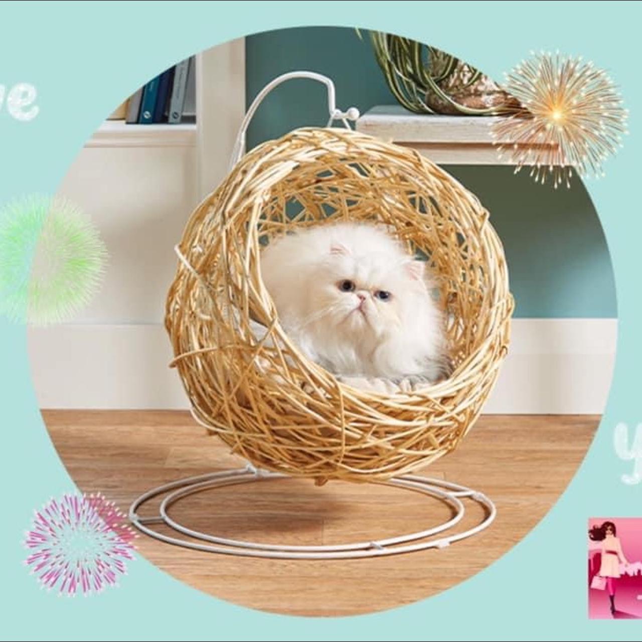 Mini hanging egg chair best sale for cats