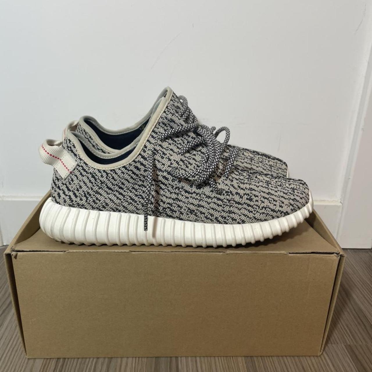 yeezy turtle dove sizing