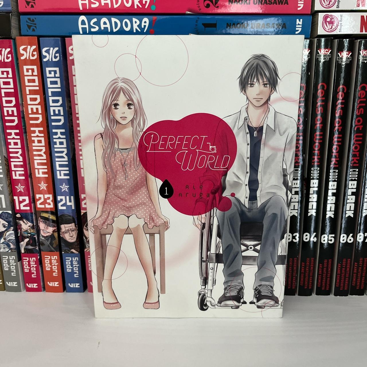 Perfect World Volume 1 Minor shelf wear. Pages are... Depop