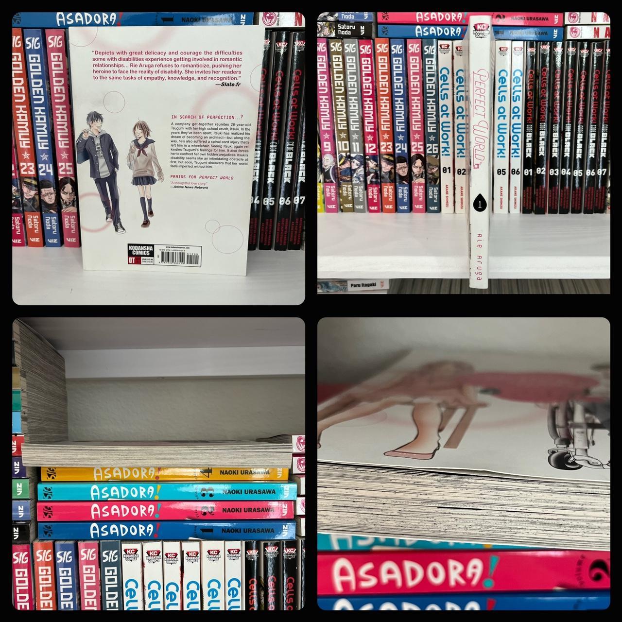 Perfect World Volume 1 Minor shelf wear. Pages are... Depop