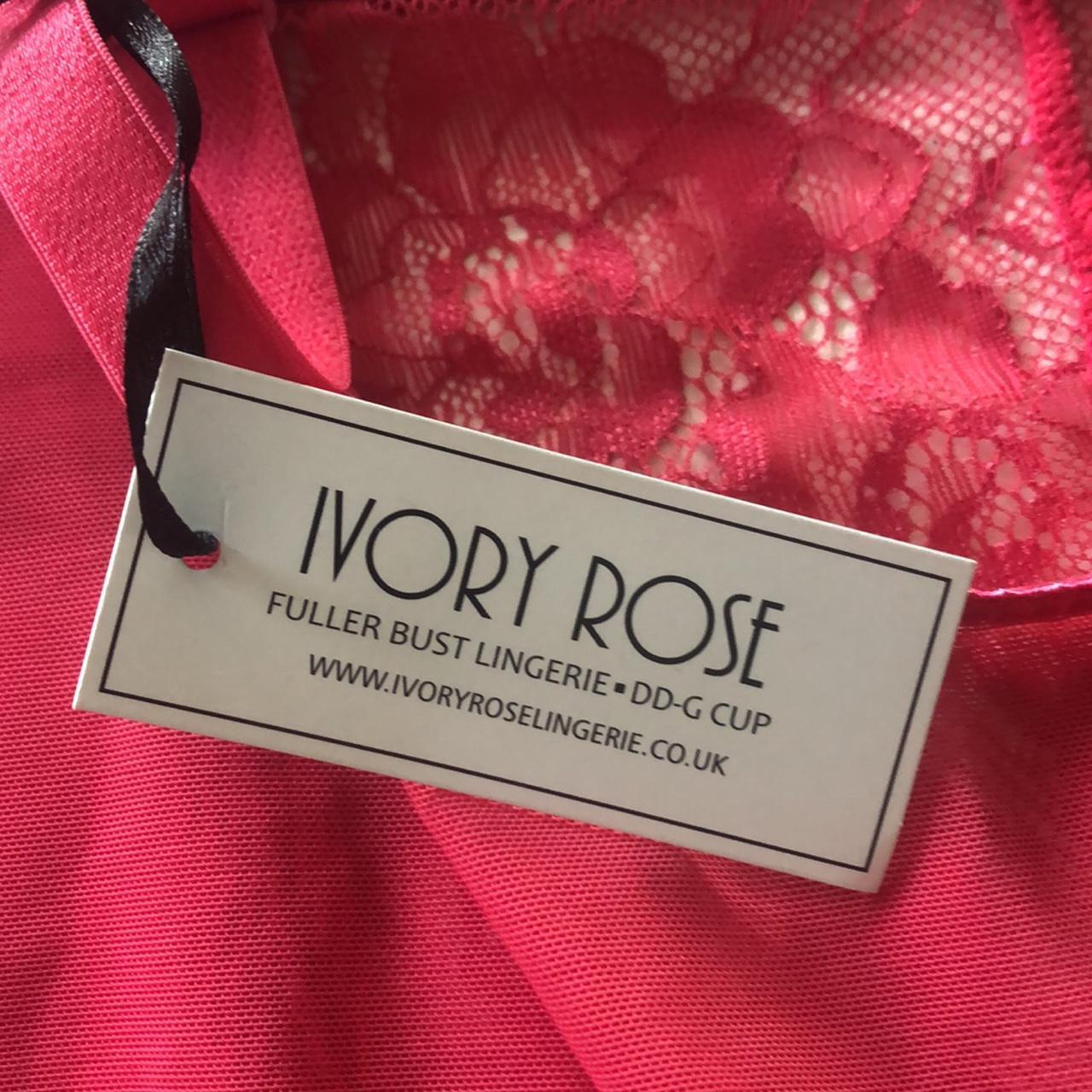 Product Image 4 - NWT Ivory Rose Mesh and