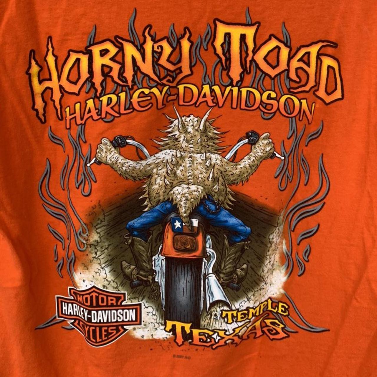 Harley Davidson Men's multi T-shirt (4)