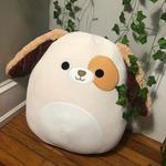 arielyu's profile picture