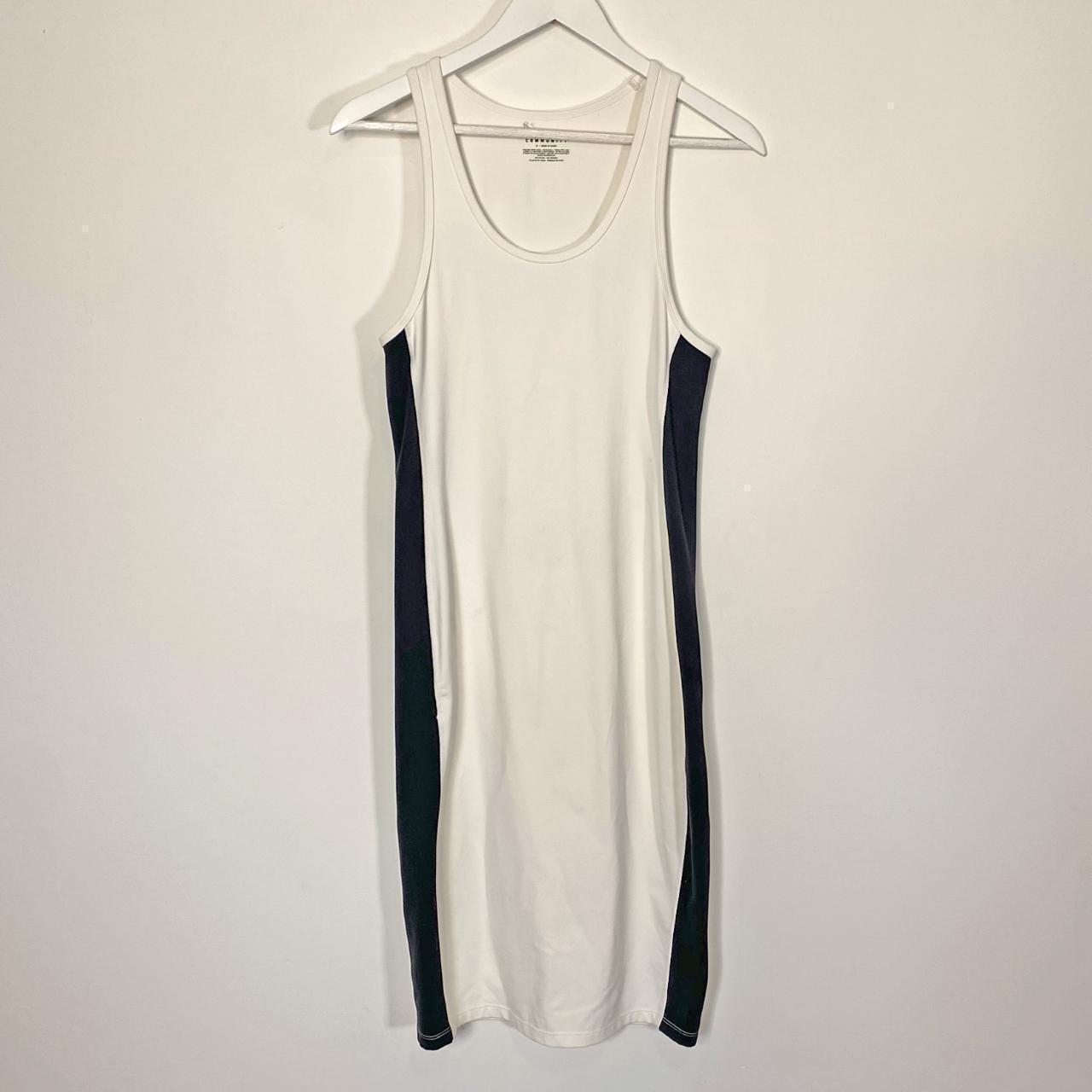 aritzia community dress