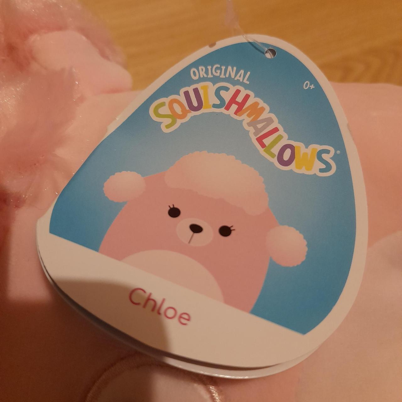 squishmallow chloe the poodle