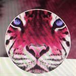 thepinktiger's profile picture