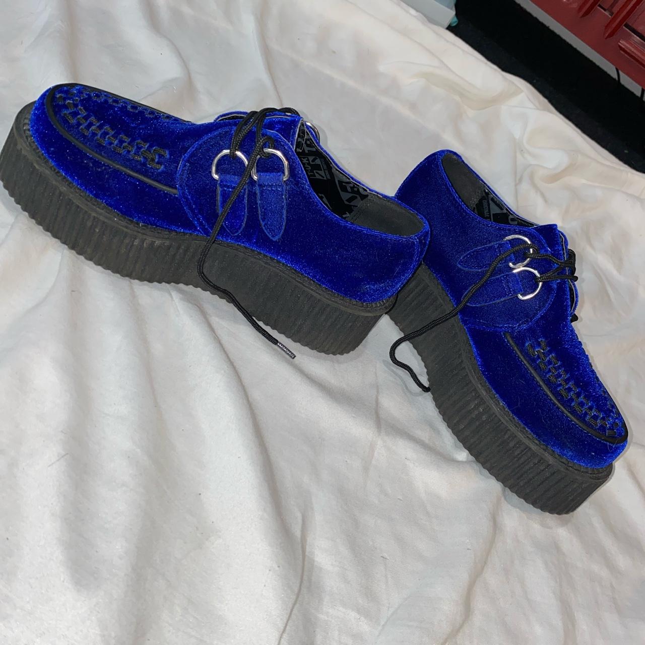 Midnight Blue Velvet Creeper